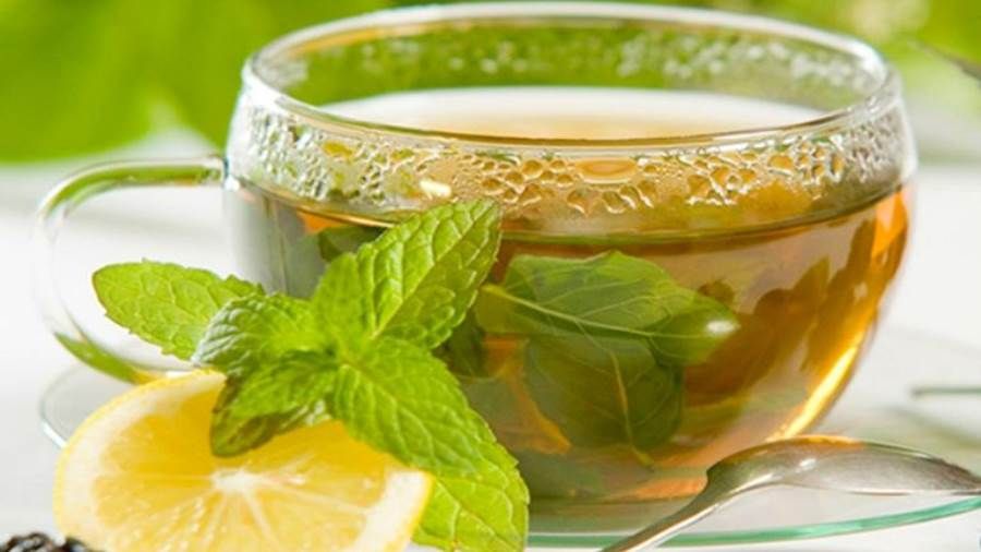 الشاي الأخضر يساعد على محاربة كورونا.. اعرف السر!