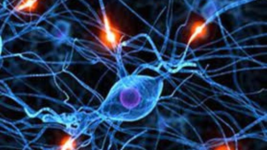 مؤتمر عربي لمناقشة دور الجامعات في مواجهة تحديات كورونا