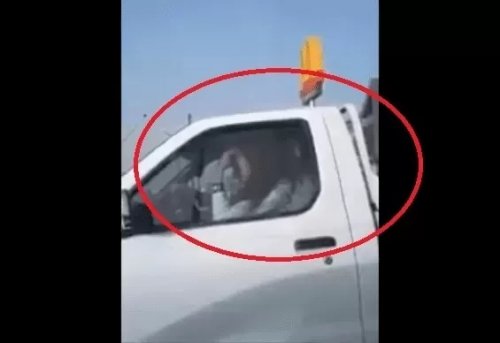 مراهقة أردنية حسناء تظهر جالسة في حضن شاب لتدريبها على القيادة وتفجر غضب الأردنيين