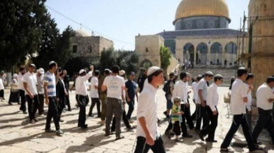 مع اقتحامات المستوطنين.. توتر شديد في ساحات "الأقصى"