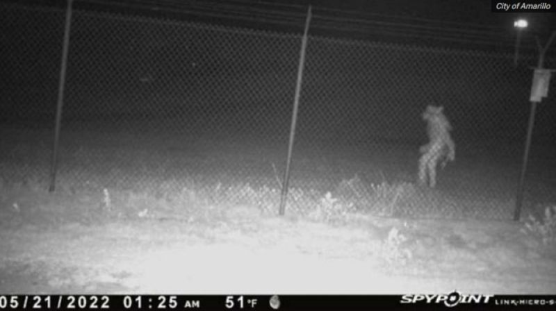 كاميرا مراقبة ترصد كائن غريب يمشي على قدميه في ولاية تكساس الأمريكية.. (شاهد)