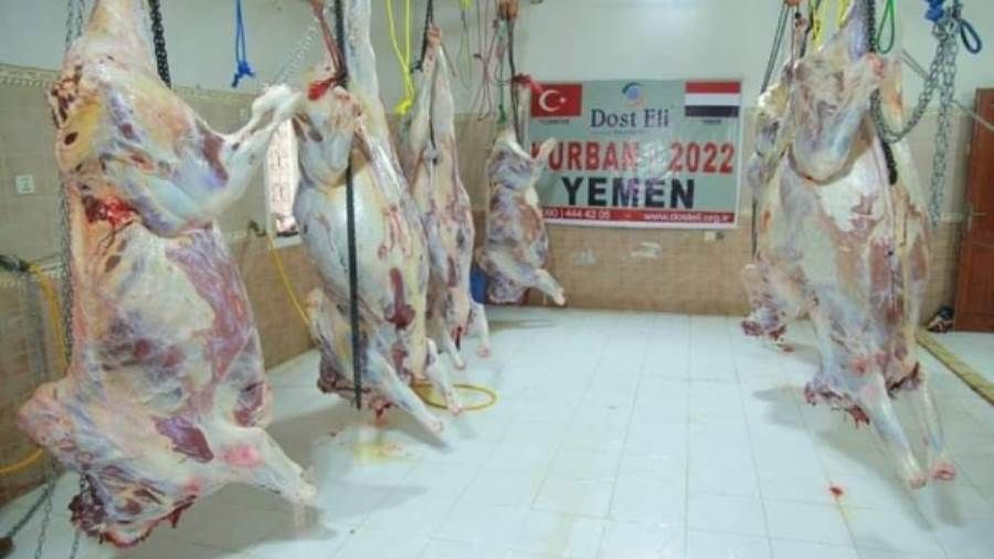 تدشين مشروع الاضاحي في ١٣ محافظة