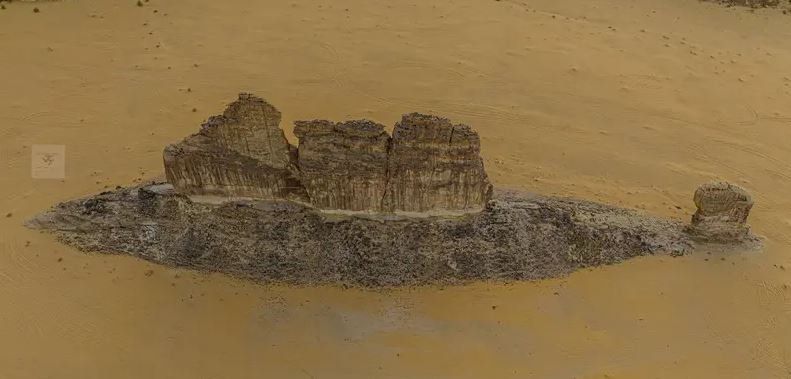 سمكة الصحراء بالعلا تلفت السعوديين.. والمصور يروي قصتها (شاهد)