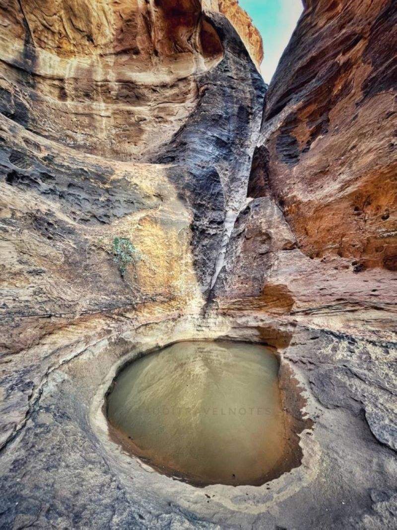 مدونة بريطانية تكتشف بركة مخفية في صحراء نيوم عن طريق الصدفة.. وهذا أهم ما يميز مياهها (شاهد صور)