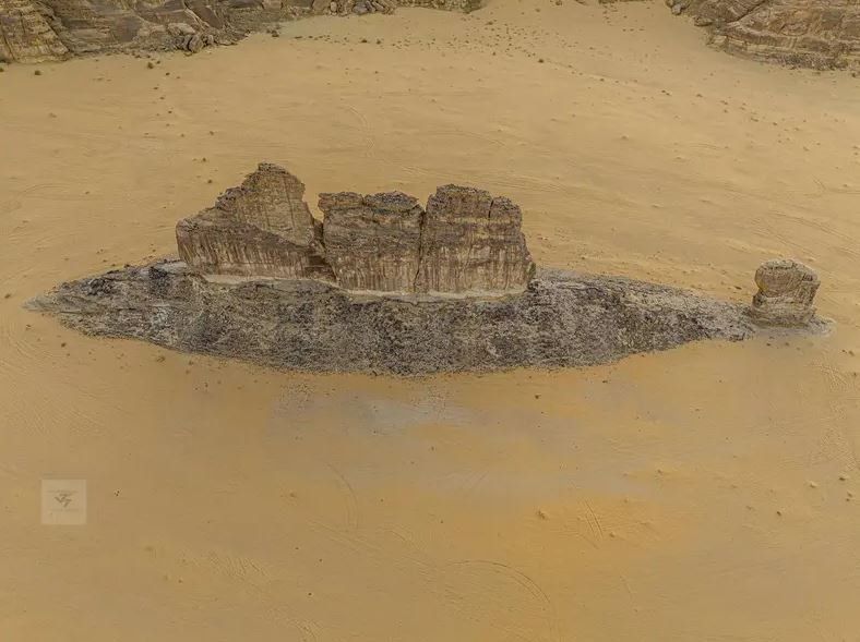 سمكة الصحراء بالعلا تلفت السعوديين.. والمصور يروي قصتها (شاهد)