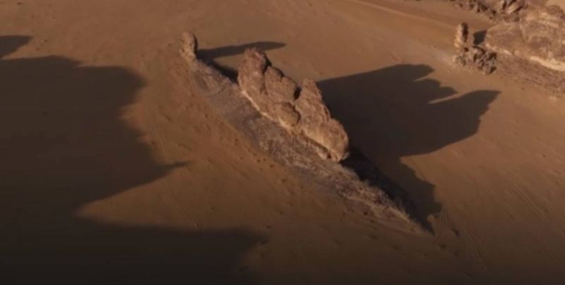 سمكة الصحراء بالعلا تلفت السعوديين.. والمصور يروي قصتها (شاهد)