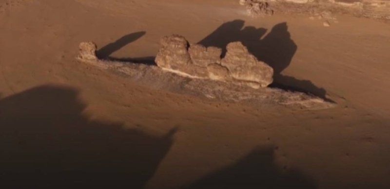 سمكة الصحراء بالعلا تلفت السعوديين.. والمصور يروي قصتها (شاهد)