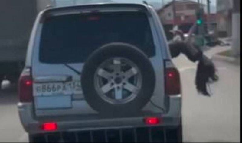 سقوط مروع لـ امرأة من نافذة سيارة أثناء قيامها بالرقص..(شاهد فيديو)