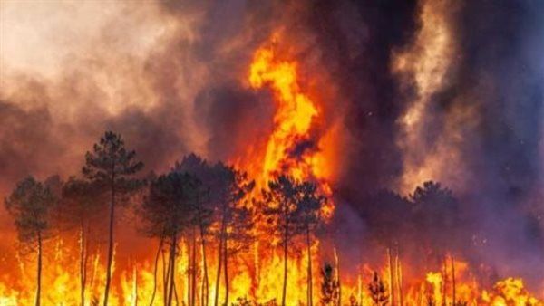 وكالة "ناسا" تنجح في تطوير أداة قادرة على التنبؤ بحرائق الغابات