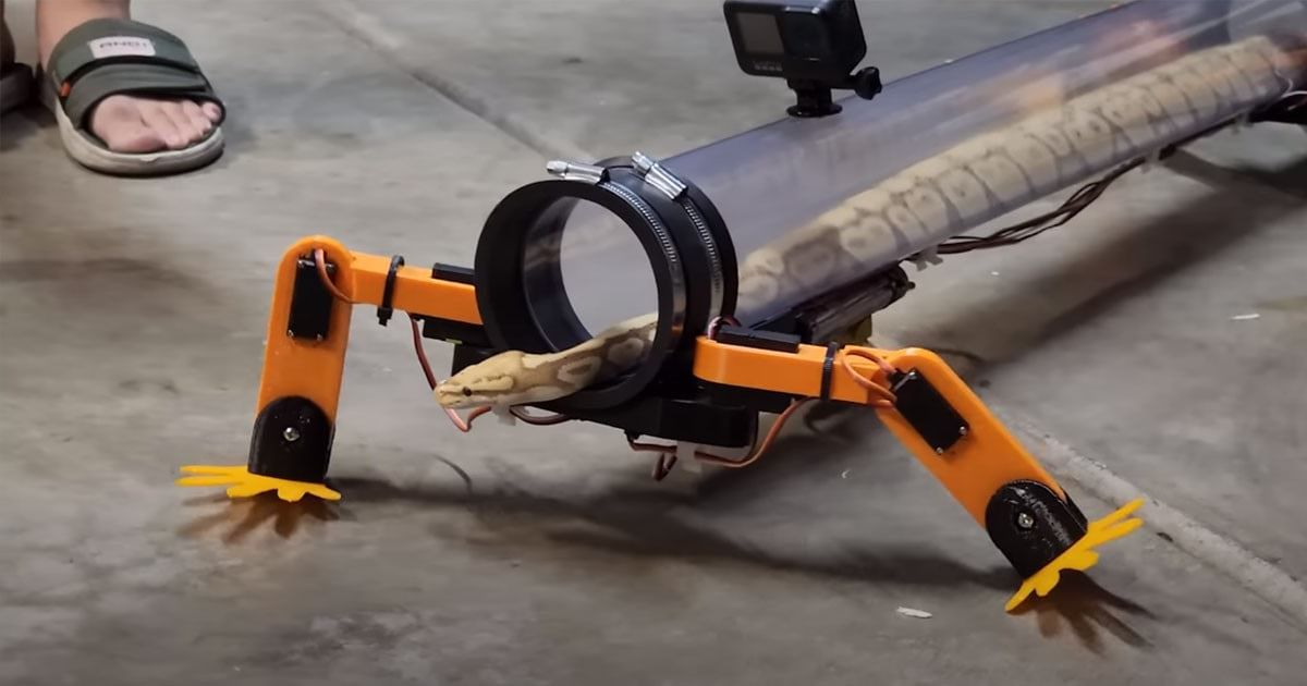 ابتكار بدلة روبوتية تتيح للثعابين المشي بأربع أرجل