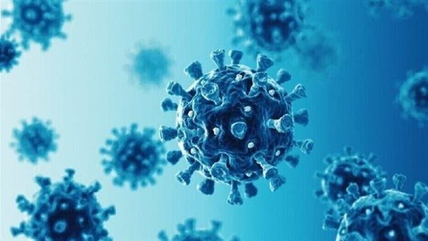 تحذيرات من فيروس جديد "قاتل" شبيه بالإيبولا "مهيأ للانتقال'' إلى البشر