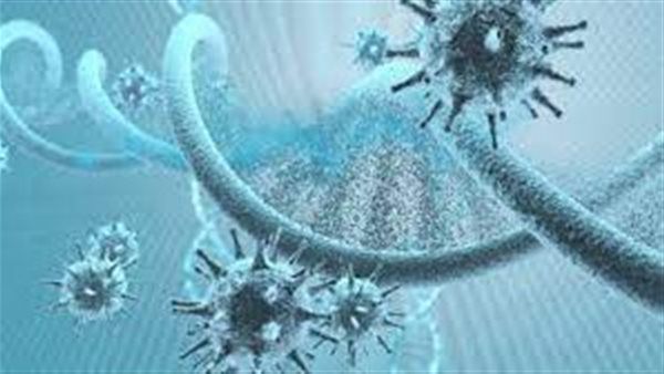 دليل على وجود خلية مناعية غامضة في البشر.. ما القصة؟