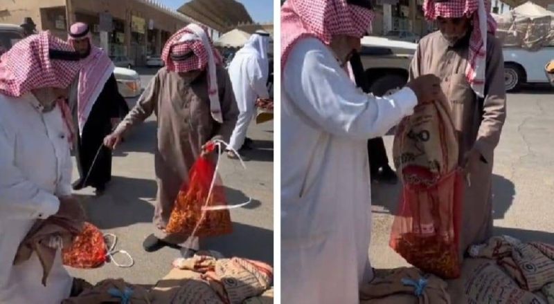 بالفيديو.. بدء موسم بيع الجراد في سوق بريدة بالسعودية