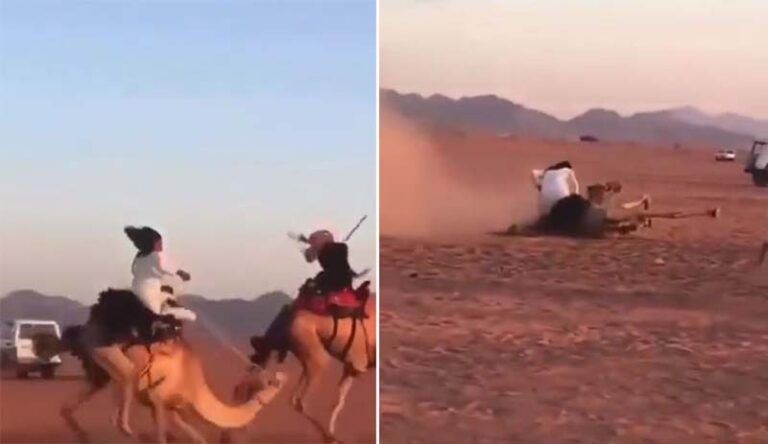 سقوط شاب سعودي وتعرضه لإصابات بجرح عميق أثناء سباق في الصحراء