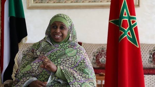 متحدث الاتحاد الأوروبي: نجحنا فى إجلاء 1100 أوروبي.. واستقرار السودان أولويتنا