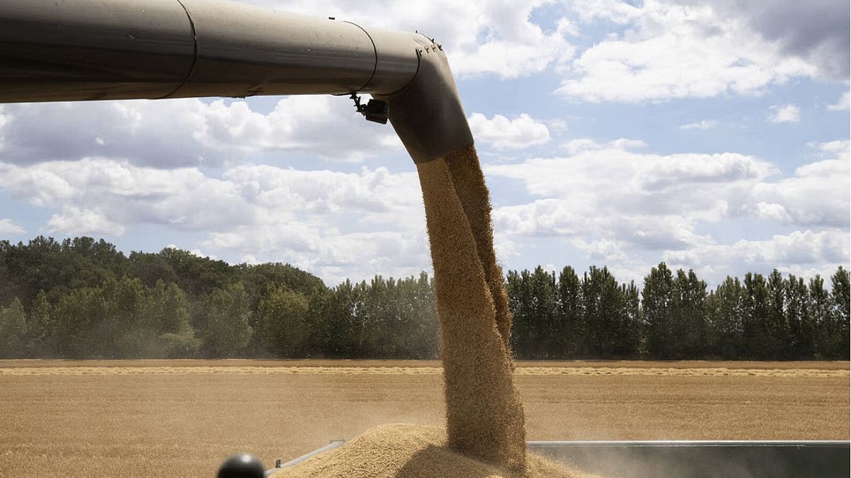 كيف يؤثر وقف تصدير الحبوب الأوكرانية على أزمة اليمن؟