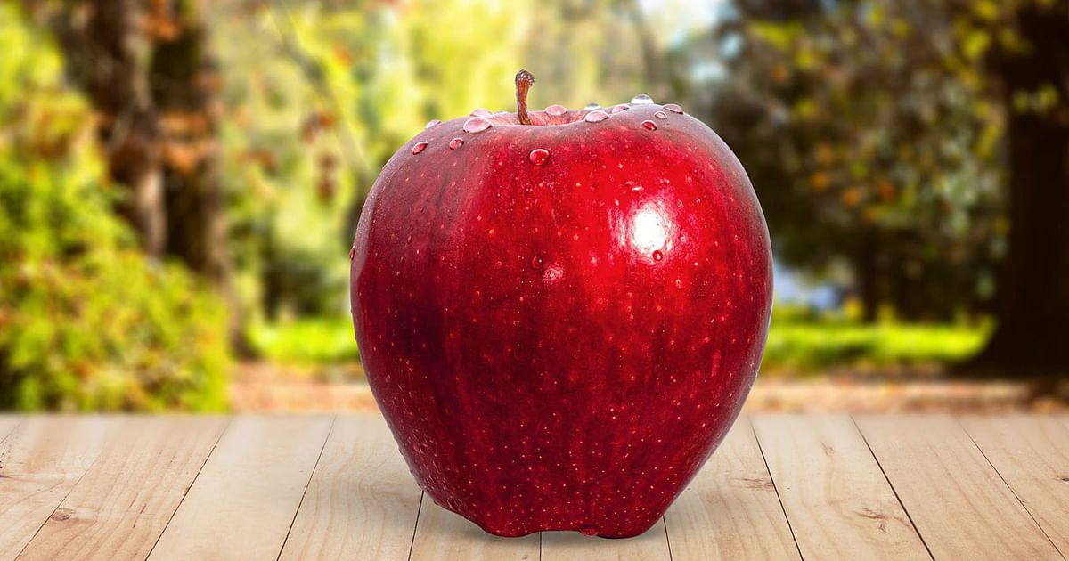 ماذا يفعل التفاح في أدمغتنا؟