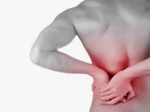 بدون جهاز تفتيت الحصى .. فاكهة صغيرة الحجم تفتت حصوات الكلى وتدر البول وتكنس السموم من الجسم