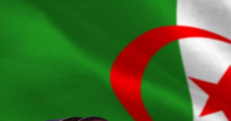 الجزائر.. تُهم التخابر تلاحق نجل رئيس حكومة ومسؤولين سابقين‎