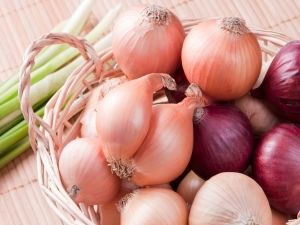 سم قاتل .. هؤلاء الأشخاص يجب أن يمتنعوا عن تناول البصل