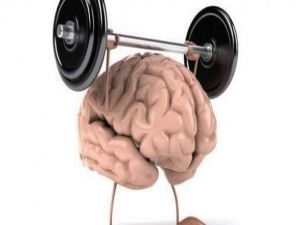 "احرص عليه"!..طعام بسيط يغذي ,,المخ ويحسن بنية الدماغ ويقوي الذاكرة خلال وقت قصير