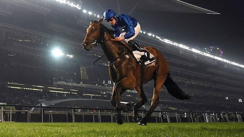 10 آلاف دولار للخيل الأفضل مظهراً