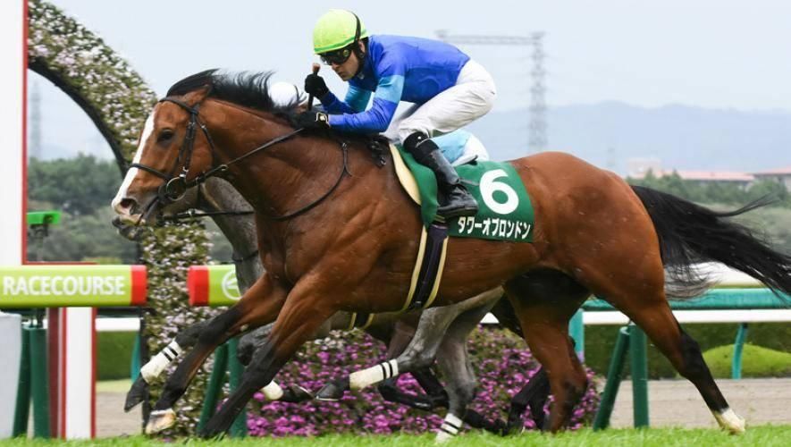 «تاور أوف لندن» يتحدى خيول جودلفين في «دبي جولد كب»