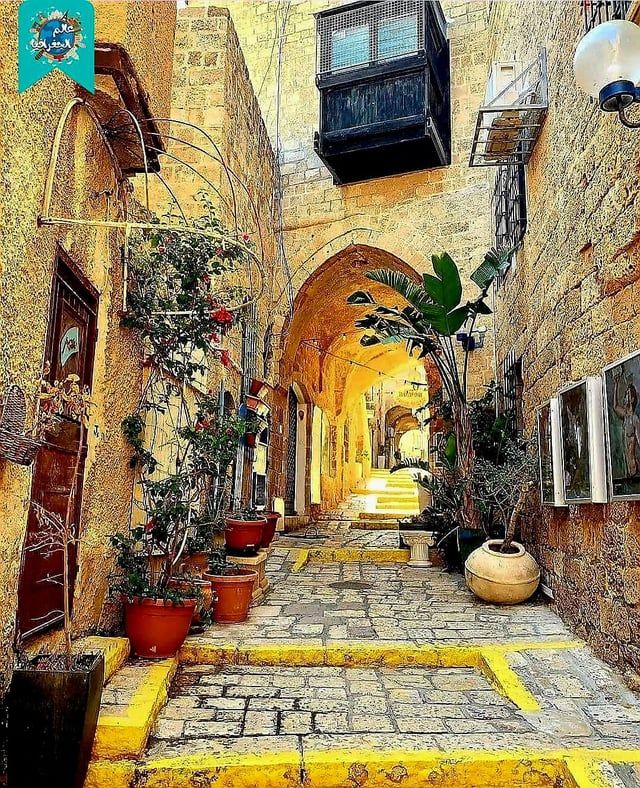 يافا.. مدينة تاريخية ربطت فلسطين بالعالم (فيديو إرم)