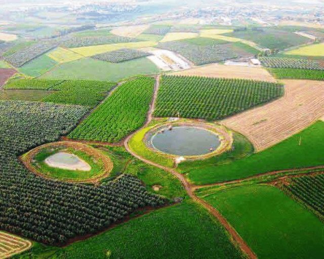 سهل مرج ابن عامر.. سلة غذاء فلسطين وسرها الخلاب (صور)