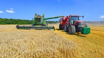 10 ملايين طن زيادة بصادرات المغرب للحبوب لتعويض آثار الجفاف