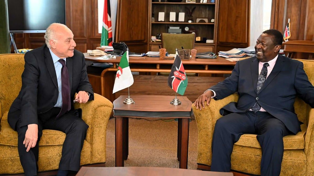 وسط توتر مع مالي والنيجر.. الجزائر تسعى إلى تنشيط علاقاتها مع إفريقيا