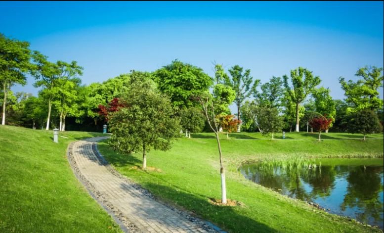 لا تفوتك تجربتها... أفضل أنشطة منتزه عكاظ في الرياض - موقع الخليج الان