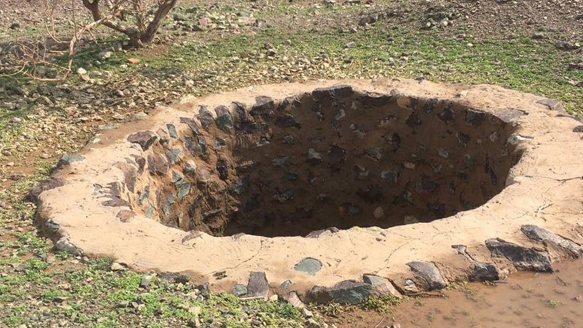 نهاية مروعة لعائلة هندية بسبب "قطة"