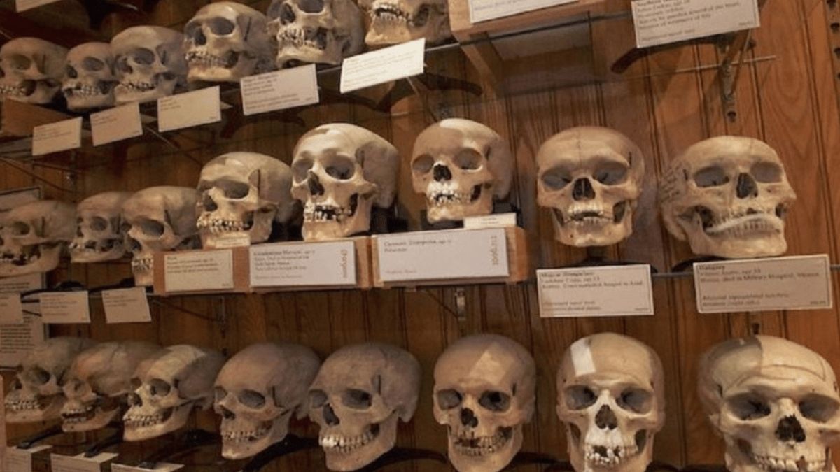 جماجم المقاومين.. ملف شائك في العلاقات الجزائرية الفرنسية