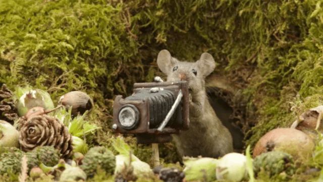 "قرية فئران" تنقذ رجلا من مرض الاكتئاب (صور)