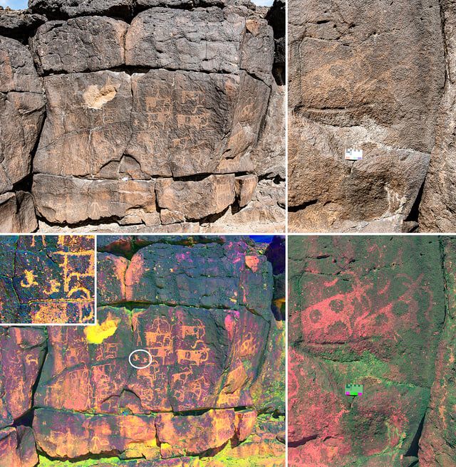 حياة قبل 10 آلاف سنة.. العثور على بقايا عظام في المدينة المنورة (صور)