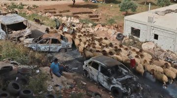 تصاعد عنف المستوطنين في الضفة الغربية يثير الخوف لدى الفلسطينيين