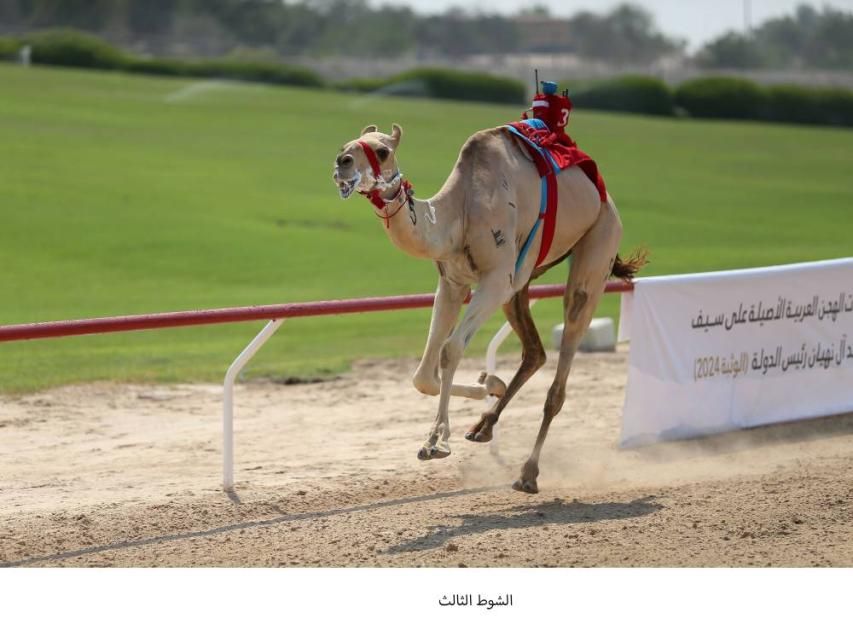 «الرئاسة» تتألق بـ «سوبر هاتريك» في ختامي الوثبة