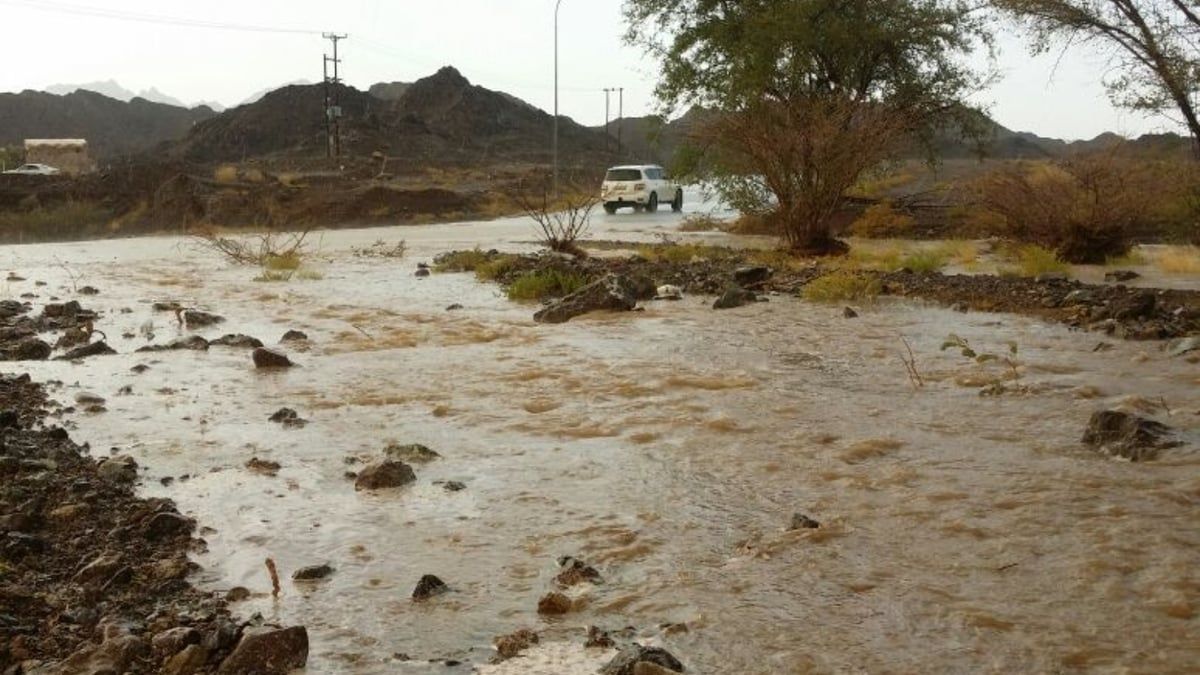 وداع مؤثر لإماراتي توفي غرقًا بعد أن أنقذ أخاه من موت محقق (فيديو)