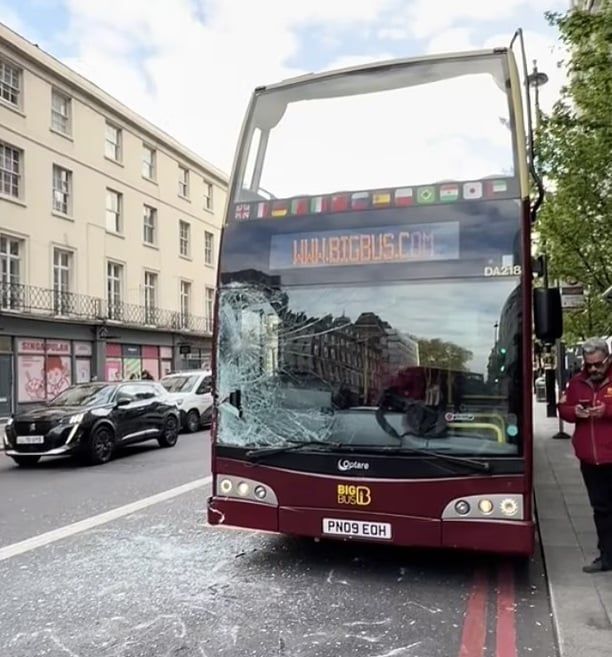 خيول هائجة في شوارع لندن.. تصيب 5 بجروح وتحطم سيارات وحافلات (فيديو)