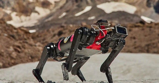 ناسا تطلق مشروع "كلب آلي" لاستكشاف سطح القمر