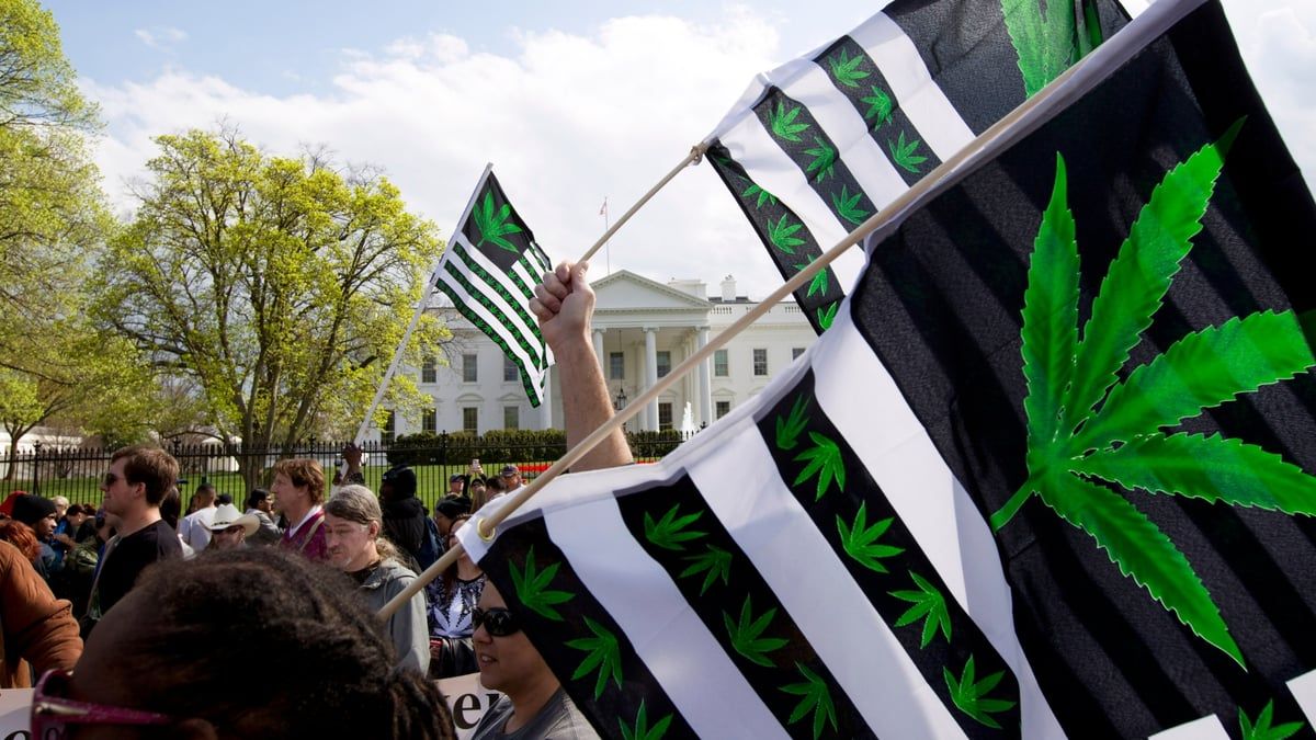 الولايات المتحدة تتجه لتصنيف القنّب مخدرًا "أقل خطورة"