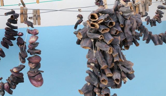 السوريون يجفّفون الخضار على طريقة الأجداد.. ويستغنون عن الثلاجات (صور)