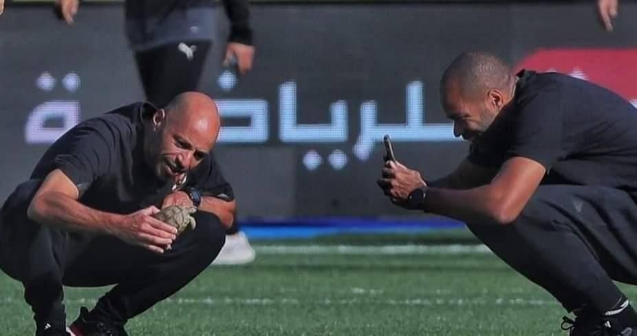 «سلحفاة في الملعب».. لقطة طريفة من الدوري المصري