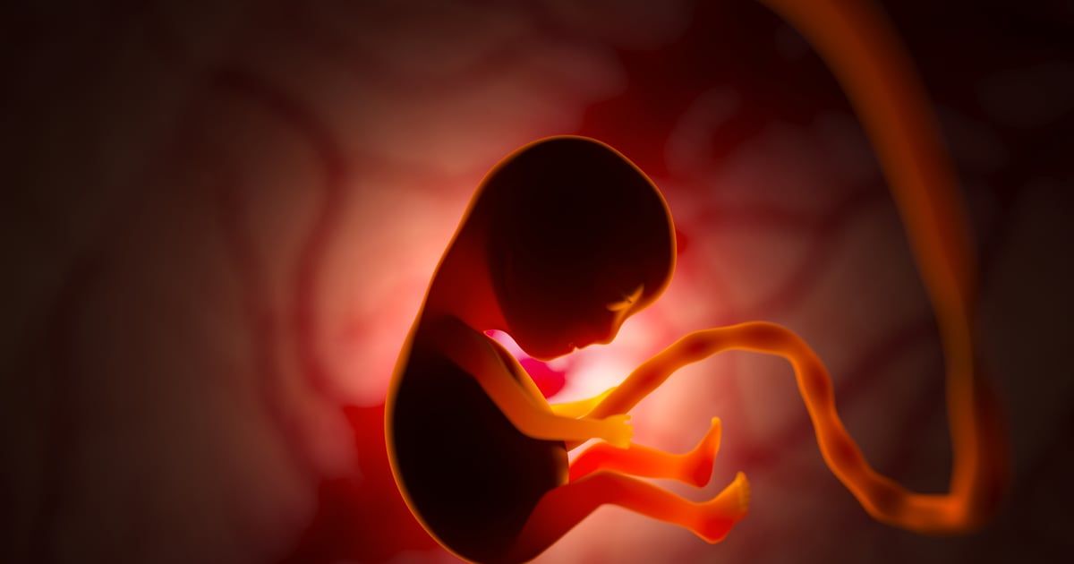 ملامح وجهك مرتبطة بعوامل الضغط على رحم والدتك