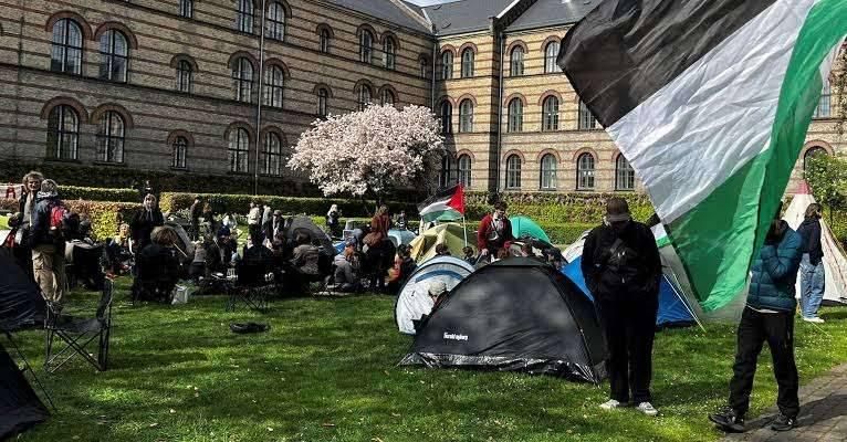 مؤيدون للفلسطينيين يسيطرون على أبنية جامعية في مدن هولندية