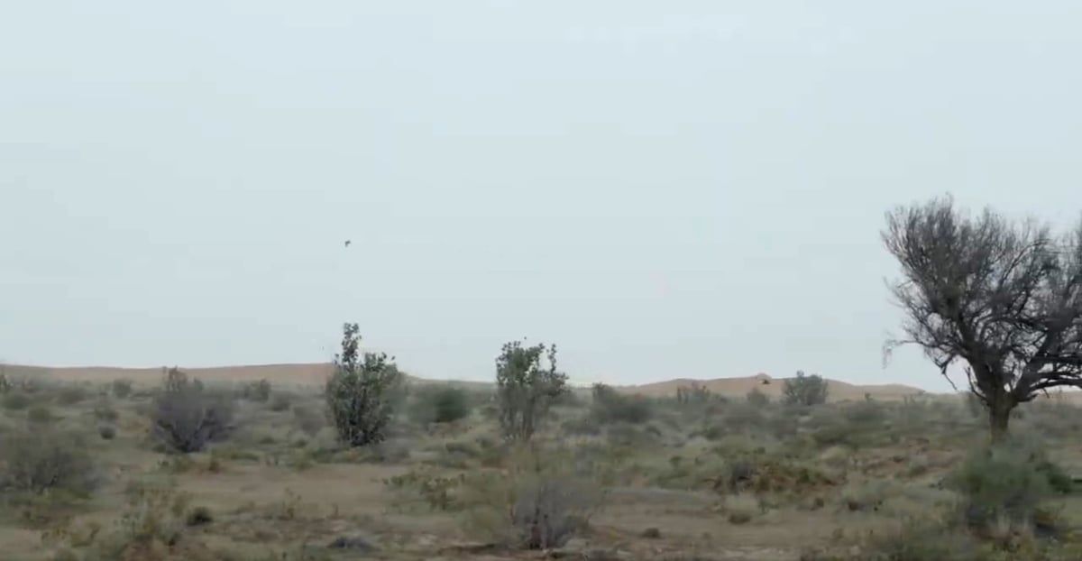 ضبط سعودي يرعى عشرت الإبل داخل "محمية ملكية" (صورة)