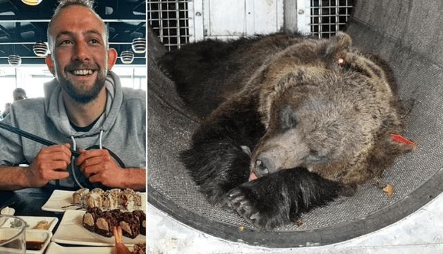 بعد التراجع عن إعدامها.. إبعاد أنثى دب قتلت شابا من إيطاليا