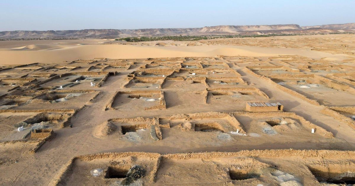 بعد تراجع النفوذ الغربي.. عين الصين على يورانيوم النيجر