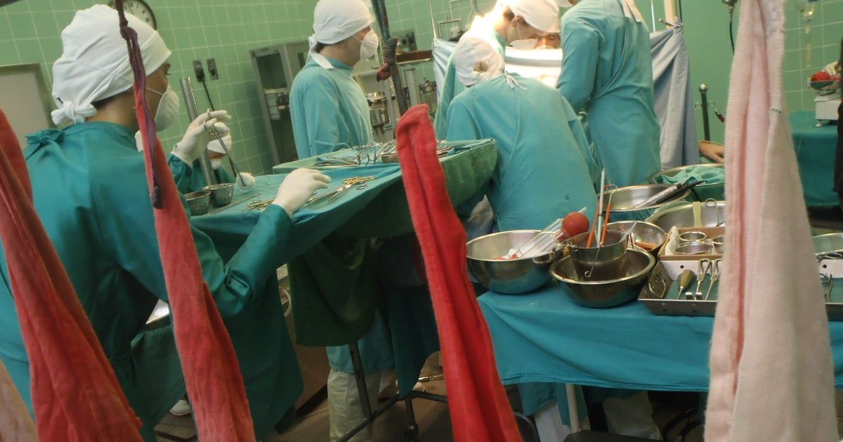 دراسة: المتلقي يرث ذكريات وسمات المتبرع بعد زراعة الأعضاء